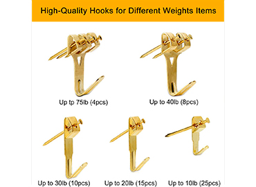 Secure Picture Hanger